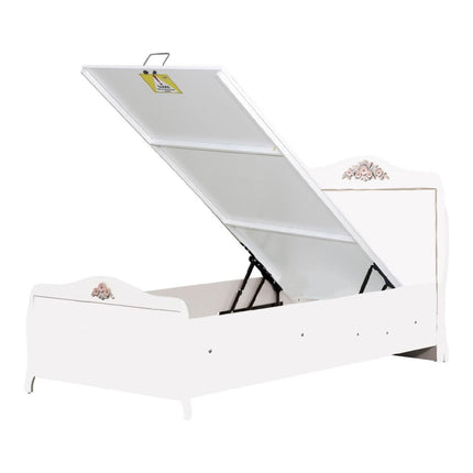 Collection image for: Karyolalar